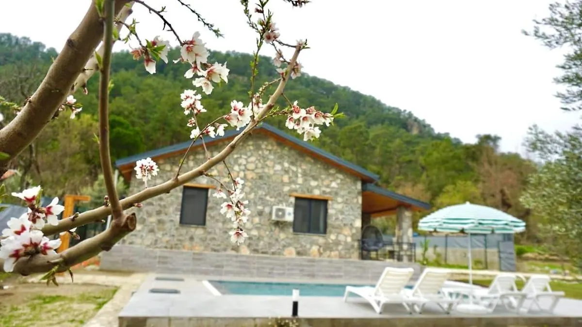Tas Villa Gonca Fethiye
