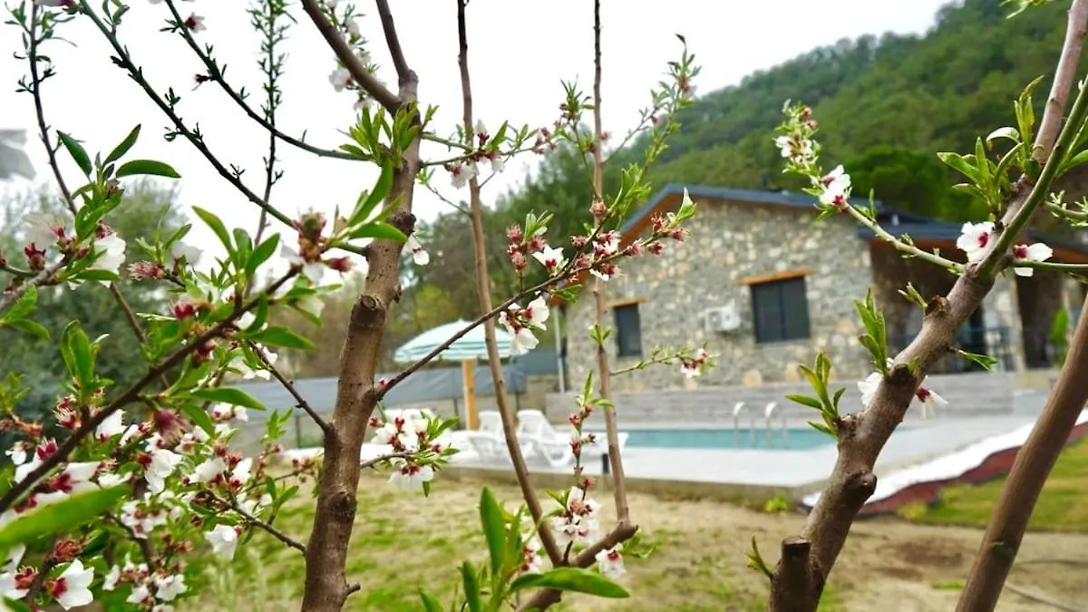 Tas Villa Gonca Fethiye