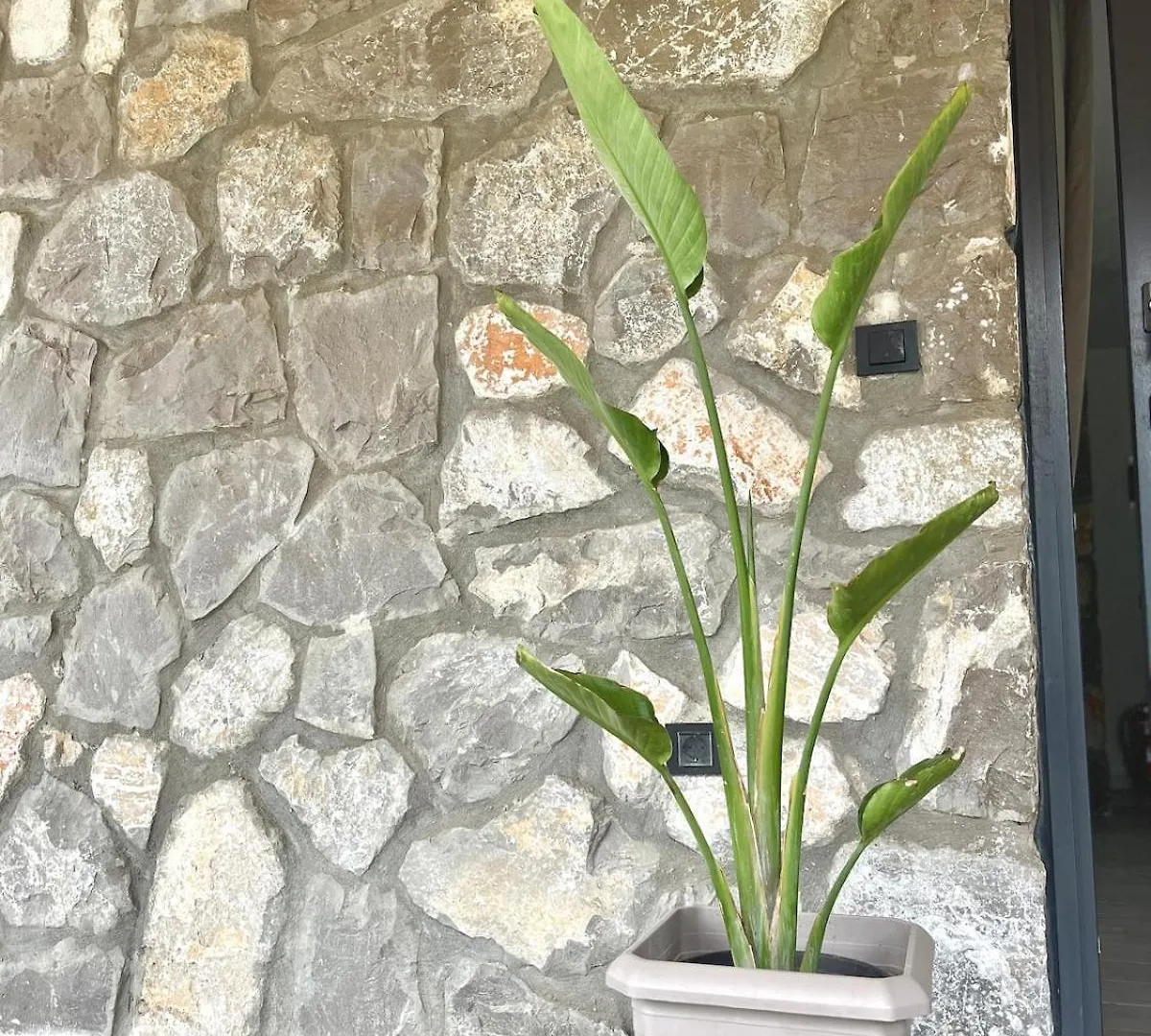 Tas Villa Gonca Fethiye